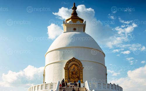 Find  the Image santi,stupa,peace,pagoda,budhha,temple,pokhara,nepal  and other Royalty Free Stock Images of Nepal in the Neptos collection.