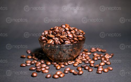 Find  the Image refreshing,coffee,bean,art,kathmandu,nepal  and other Royalty Free Stock Images of Nepal in the Neptos collection.