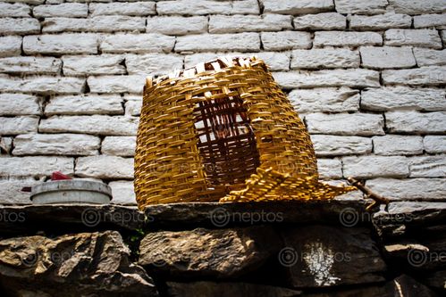 Find  the Image doko,typically,carrying,items,villages,modified,cage,pets  and other Royalty Free Stock Images of Nepal in the Neptos collection.