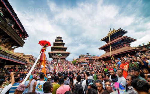 Find  the Image gai,jatra,festival,bhaktapur,fun,celebration,cow,remembering,people,died,year,feeling,nepal  and other Royalty Free Stock Images of Nepal in the Neptos collection.