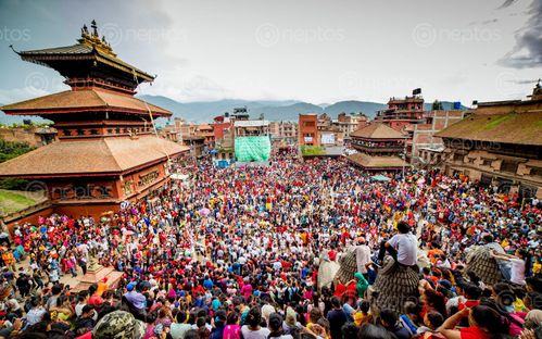 Find  the Image gai,jatra,festival,bhaktapur,fun,celebration,cow,remembering,people,died,year,nepal  and other Royalty Free Stock Images of Nepal in the Neptos collection.