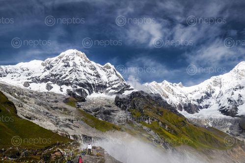 Find  the Image picture,arnapurna,himal  and other Royalty Free Stock Images of Nepal in the Neptos collection.