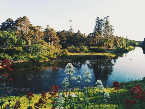 Find  the Image natural,river,green,tree,colourful,flower  and other Royalty Free Stock Images of Nepal in the Neptos collection.