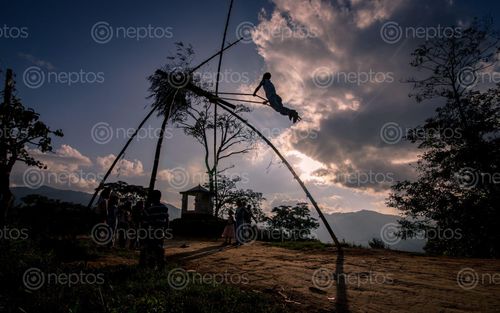 Find  the Image playing,traditional,linge,ping,lalitpur,nepal  and other Royalty Free Stock Images of Nepal in the Neptos collection.