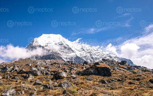 Find  the Image shining,mount,takargo,range,tsho,rolpa,lake,dolakha,nepal  and other Royalty Free Stock Images of Nepal in the Neptos collection.