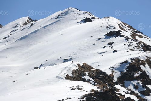 Find  the Image snowy,route,gosaikunda  and other Royalty Free Stock Images of Nepal in the Neptos collection.