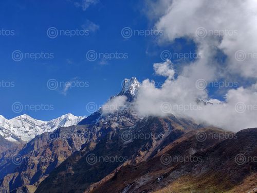 Find  the Image fishtail,view,point  and other Royalty Free Stock Images of Nepal in the Neptos collection.
