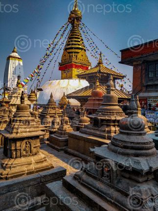 Find  the Image swambonathit,holly,place,nepallisted,world,heritage,sites  and other Royalty Free Stock Images of Nepal in the Neptos collection.