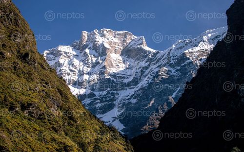 Find  the Image beautiful,view,mount,gaurishankar,tsho,rolpa,lake,dolakha,nepal  and other Royalty Free Stock Images of Nepal in the Neptos collection.