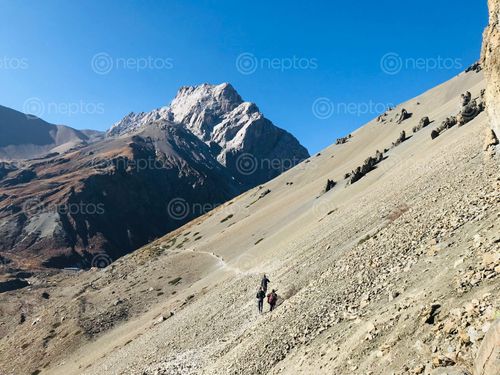 Find  the Image trekkers,walking,landslide,area,leads,tilicho,lake  and other Royalty Free Stock Images of Nepal in the Neptos collection.