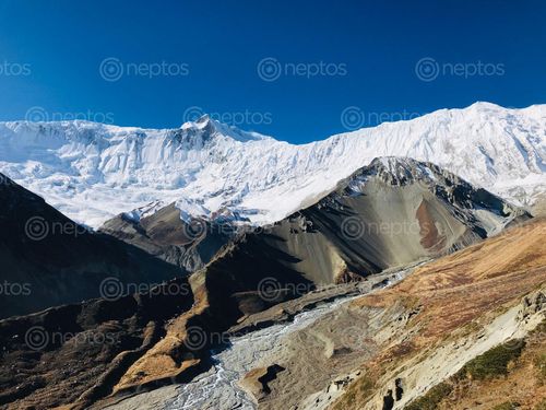 Find  the Image surreal,view,mountain,trekking,trial,tilicho,lake  and other Royalty Free Stock Images of Nepal in the Neptos collection.