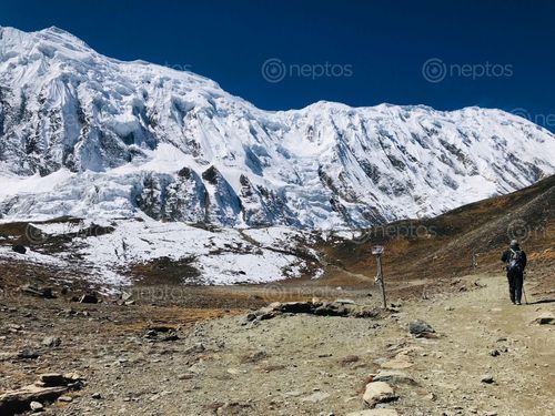 Find  the Image man,walking,highest,lake,world,tilicho  and other Royalty Free Stock Images of Nepal in the Neptos collection.