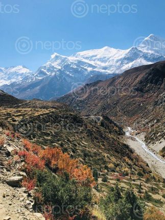 Find  the Image surreal,view,mountains,shreekhadka,yakkharka,trial  and other Royalty Free Stock Images of Nepal in the Neptos collection.