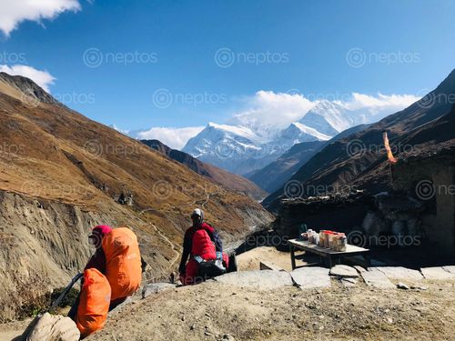 Find  the Image travelers,trekkers,resting,trial,lader,thorang,fedi,manang  and other Royalty Free Stock Images of Nepal in the Neptos collection.
