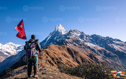 Find  the Image adventure,mountain,mardi,trek,kaski,nepal  and other Royalty Free Stock Images of Nepal in the Neptos collection.