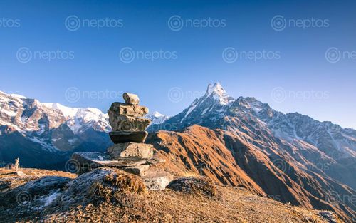 Find  the Image beautiful,view,stacking,stones,mount,fishtail,mardi,trek,nepal  and other Royalty Free Stock Images of Nepal in the Neptos collection.