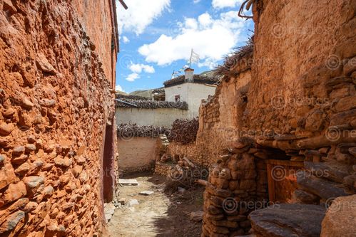 Find  the Image street,ghiling,upper,mustang  and other Royalty Free Stock Images of Nepal in the Neptos collection.
