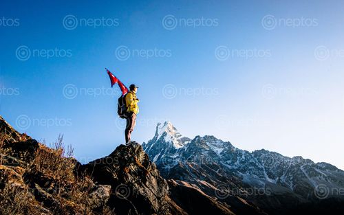 Find  the Image adventure,journey,mardi,himal,trek,mount,fishtail,kaski,nepal  and other Royalty Free Stock Images of Nepal in the Neptos collection.