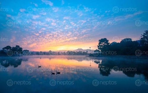 Find  the Image beautiful,view,sunrise,taudah,lake,kathmandu,nepal  and other Royalty Free Stock Images of Nepal in the Neptos collection.
