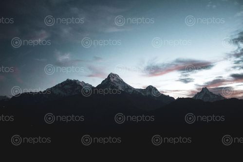Find  the Image annapurna,mountain,range,machhapuchhre  and other Royalty Free Stock Images of Nepal in the Neptos collection.