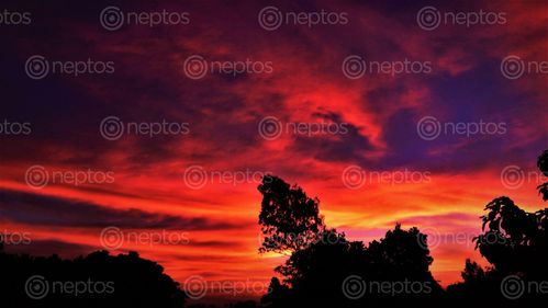 Find  the Image captured,sunset  and other Royalty Free Stock Images of Nepal in the Neptos collection.