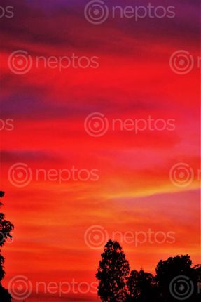 Find  the Image edit  and other Royalty Free Stock Images of Nepal in the Neptos collection.