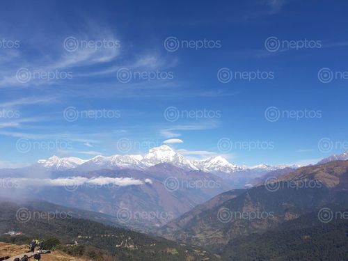 Find  the Image beautiful,landscape,picture  and other Royalty Free Stock Images of Nepal in the Neptos collection.