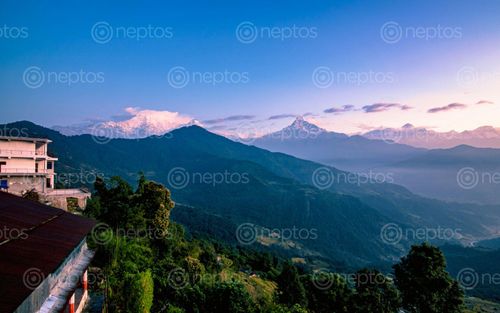 Find  the Image beautiful,mountain,range,dhampus,kaski,nepal  and other Royalty Free Stock Images of Nepal in the Neptos collection.
