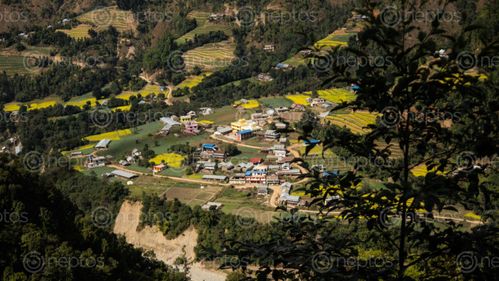 Find  the Image manikhel,bazar,located,lalitpur,kathmandu  and other Royalty Free Stock Images of Nepal in the Neptos collection.