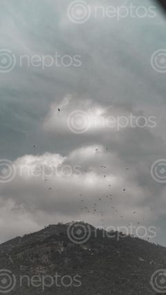 Find  the Image paragliders,pokhara  and other Royalty Free Stock Images of Nepal in the Neptos collection.