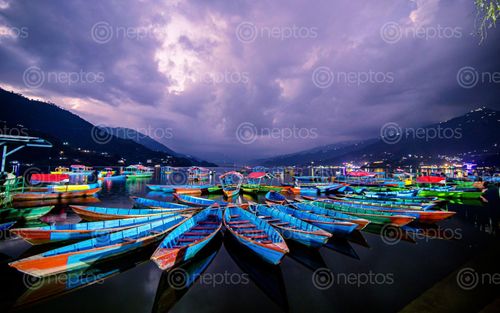 Find  the Image beautiful,evening,view,taal,lake,pokhara,nepal  and other Royalty Free Stock Images of Nepal in the Neptos collection.
