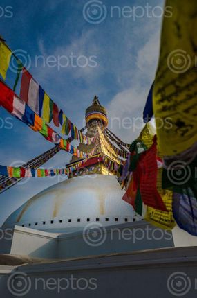Find  the Image calm,peaceful,morning,bouddhanath  and other Royalty Free Stock Images of Nepal in the Neptos collection.