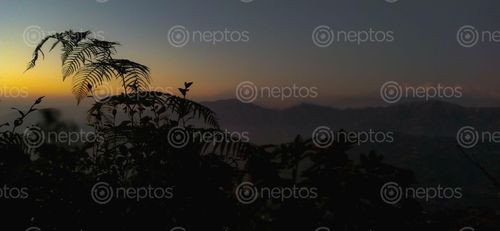 Find  the Image landscape,indrasthan,height  and other Royalty Free Stock Images of Nepal in the Neptos collection.