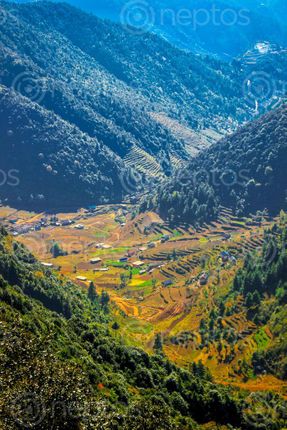 Find  the Image village,chandragiri  and other Royalty Free Stock Images of Nepal in the Neptos collection.