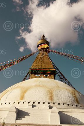 Find  the Image buddhist,stupa,boudha,dominates,skyline,largest,unique,structure's,stupas,world  and other Royalty Free Stock Images of Nepal in the Neptos collection.