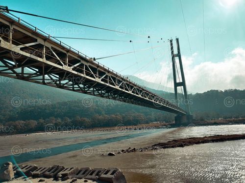 Find  the Image karnali,bridge,asymmetric,single-tower,cable-stayed,longest,type,nepal,built,international,collaboration,spans,river,kailali,district,bardiya,western  and other Royalty Free Stock Images of Nepal in the Neptos collection.