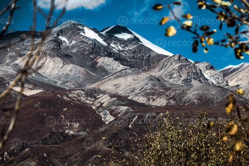 Find  the Image snowy,mountain,full,great,light,view  and other Royalty Free Stock Images of Nepal in the Neptos collection.