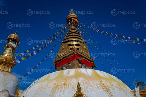 Find  the Image swayambhunath,located,kathmandu,nepal,famous,travel,destinations,tourists,locals,declared,world,heritage,site,unesco  and other Royalty Free Stock Images of Nepal in the Neptos collection.