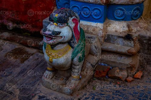 Find  the Image stone,statue,lion,located,bungamati,nepal,opening,entrance,rato,machindranath,temple  and other Royalty Free Stock Images of Nepal in the Neptos collection.