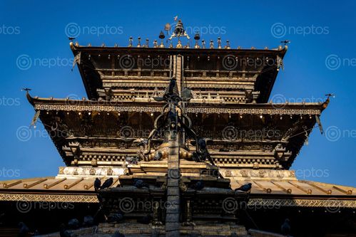 Find  the Image golden,temple,hiranya,varna,mahavihar,located,patan,nepal,attraction,durbar,square  and other Royalty Free Stock Images of Nepal in the Neptos collection.