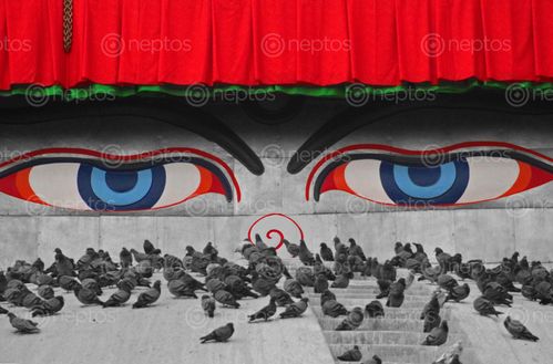 Find  the Image buddha,eyes,boudhanath,kathmandu  and other Royalty Free Stock Images of Nepal in the Neptos collection.