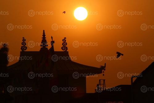 Find  the Image sunrise,boudhanath  and other Royalty Free Stock Images of Nepal in the Neptos collection.