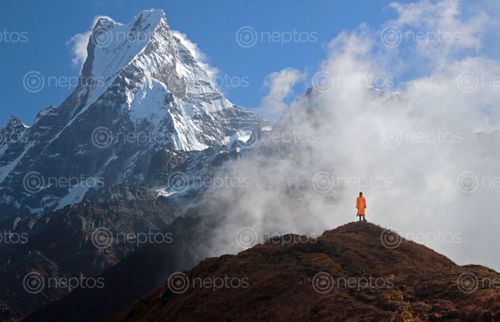 Find  the Image mt,macchapuchure,view,mardi,himal,base,camp  and other Royalty Free Stock Images of Nepal in the Neptos collection.