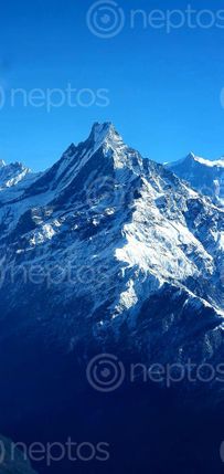 Find  the Image mount,machhapuchhre,fishtail  and other Royalty Free Stock Images of Nepal in the Neptos collection.
