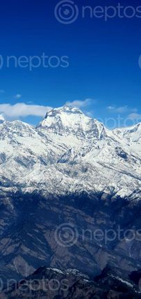 Find  the Image mount,dhaulagiri,6th,highest,world  and other Royalty Free Stock Images of Nepal in the Neptos collection.