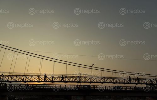 Find  the Image pedestrians,silhouetted,crossing,suspension,bridge,sunset,lalitpur,wednesday,february  and other Royalty Free Stock Images of Nepal in the Neptos collection.