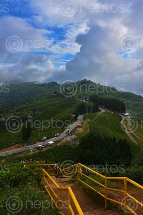 Find  the Image illam,nepal,top,love,dada,tea,factory,lies,road,picture,garden,horizon  and other Royalty Free Stock Images of Nepal in the Neptos collection.