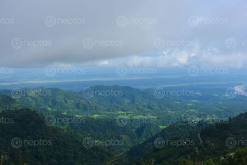 Find  the Image harkateillam,place,magnificent,view,hills,ninda,river,famous,amriso,make,brooms,nepali,society  and other Royalty Free Stock Images of Nepal in the Neptos collection.