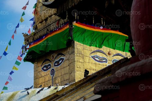 Find  the Image swayambhunath,monkey,temple,located,kathmandu,nepal,showing,wisdom,eyes,clear,blue,sky  and other Royalty Free Stock Images of Nepal in the Neptos collection.