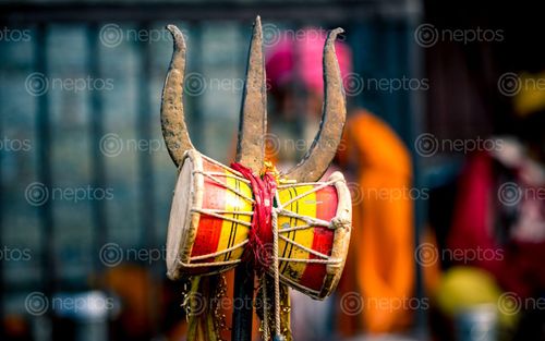 Find  the Image trisul,mahashibratri,festival,pasupati,kathmandu,nepal  and other Royalty Free Stock Images of Nepal in the Neptos collection.
